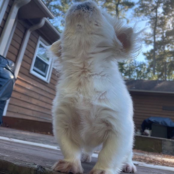 A little about 𝓜𝓔 💕💞 - Picture 6 of 15